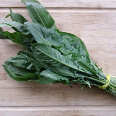 dandelion-leaves-pesto-recipe